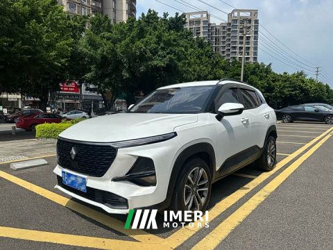 2021 Baojun RS-3 1.5L CVT 24 Version - ავტომობილი ჩინეთიდან