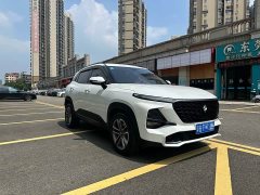 Baojun RS-3 1.5L CVT 24 Version - ფოტო 3