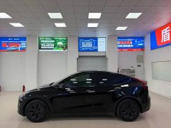 Tesla Model Y Rear-Wheel Drive - ფოტო 3