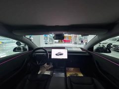 Tesla Model 3 Rear-Wheel Drive - ფოტო 14