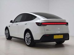 Tesla Model Y Rear-Wheel Drive - ფოტო 11