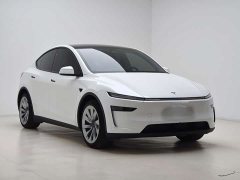Tesla Model Y Rear-Wheel Drive - ფოტო 3