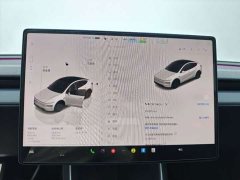 Tesla Model Y Rear-Wheel Drive - ფოტო 6