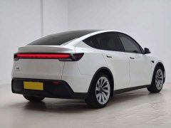 Tesla Model Y Rear-Wheel Drive - ფოტო 9