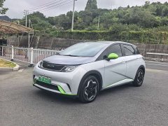 BYD Dolphin 405km Fashion Edition - ფოტო 1