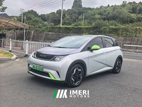 2021 BYD Dolphin 405km Fashion Edition - ავტომობილი ჩინეთიდან