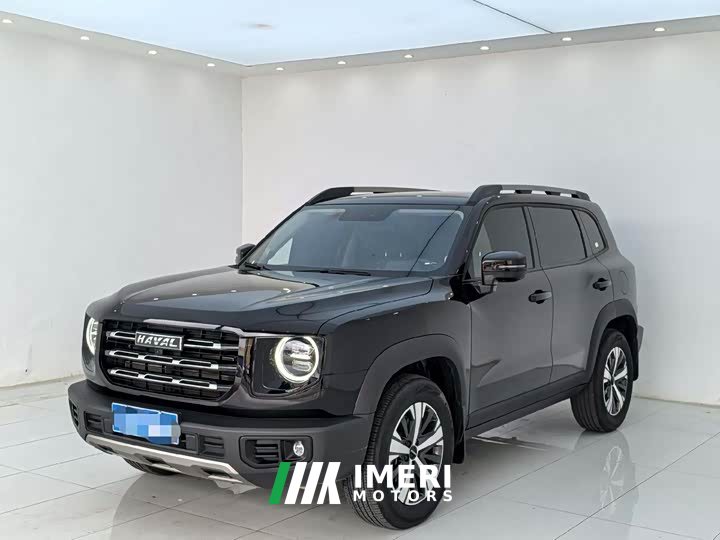 Great Wall Haval Big Dog Dachshund 1.5T DCT Two-Wheel Drive Labrador Edition - ავტომობილი ჩინეთიდან