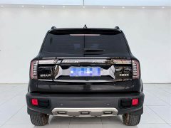 Great Wall Haval Big Dog Dachshund 1.5T DCT Two-Wheel Drive Labrador Edition - ფოტო 9