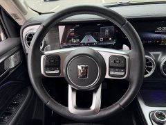 Tank 300 2021 Off-Road Edition 2.0T Conqueror - ფოტო 13