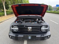 Tank 300 2021 Off-Road Edition 2.0T Conqueror - ფოტო 16