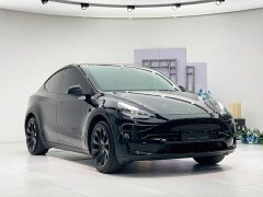 Tesla Model Y Rear-Wheel Drive - ფოტო 11