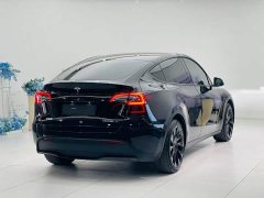 Tesla Model Y Rear-Wheel Drive - ფოტო 15