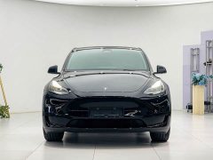 Tesla Model Y Rear-Wheel Drive - ფოტო 2