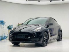 Tesla Model Y Rear-Wheel Drive - ფოტო 9