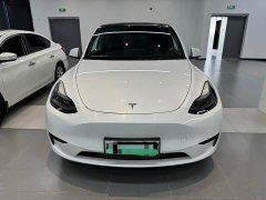 Tesla Model Y 2022 Rear-Wheel Drive - ფოტო 2