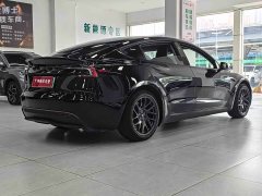 Tesla Model 3 Rear-Wheel Drive - ფოტო 8