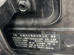 Tank 300 2.0T Challenger - ფოტო 12
