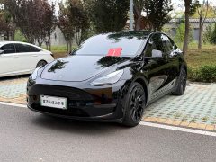 Tesla Model Y Standard Range RWD - ფოტო 1