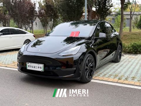 2021 Tesla Model Y Standard Range RWD - ავტომობილი ჩინეთიდან