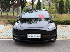 Tesla Model Y Standard Range RWD - ფოტო 2