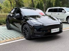 Tesla Model Y Standard Range RWD - ფოტო 3