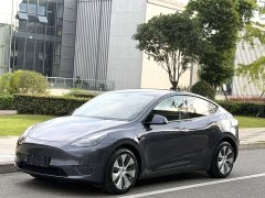 Tesla Model Y Long Range All-Wheel Drive - ფოტო 1