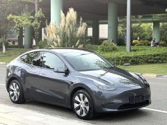 Tesla Model Y Long Range All-Wheel Drive - ფოტო 2