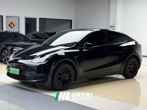2021 Tesla Model Y Standard Range RWD - ავტომობილი ჩინეთიდან