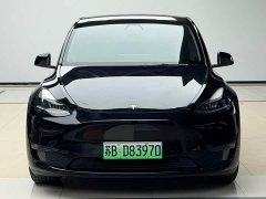Tesla Model Y Standard Range RWD - ფოტო 2