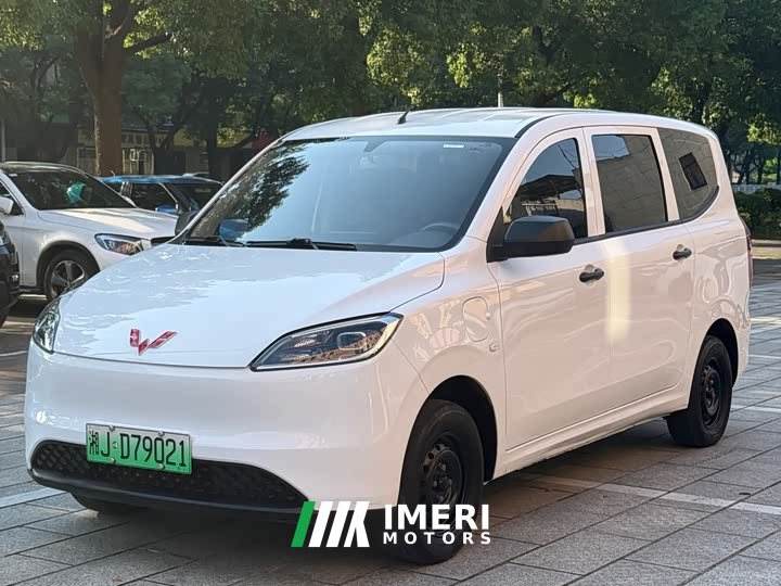 Wuling Hongguang New Energy Pure Electric 300KM Practical Edition - car from China
