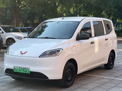 Wuling Hongguang New Energy Pure Electric 300KM Practical Edition - photo 1