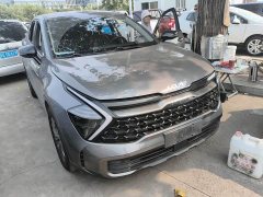 Kia Lion Platinum Tuojie 2.0T 2WDLuxury Edition - ფოტო 2