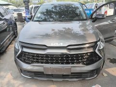 Kia Lion Platinum Tuojie 2.0T 2WDLuxury Edition - ფოტო 3