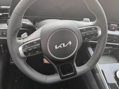 Kia Lion Platinum Tuojie 2.0T 2WDLuxury Edition - ფოტო 9