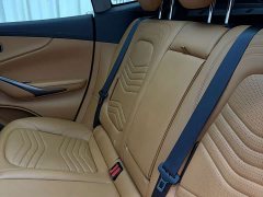 Aston Martin DBX 4.0T V8 - ფოტო 18