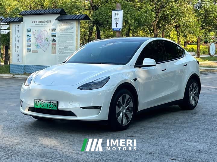 Tesla Model Y Standard Range RWD - ავტომობილი ჩინეთიდან