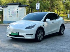 Tesla Model Y Standard Range RWD - ფოტო 1