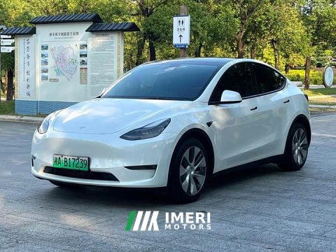 2021 Tesla Model Y Standard Range RWD - ავტომობილი ჩინეთიდან