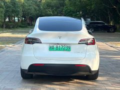 Tesla Model Y Standard Range RWD - ფოტო 8
