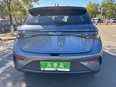 BYD Dolphin Smart Drive 410km Fashion Edition - ფოტო 16