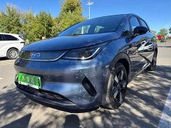 BYD Dolphin Smart Drive 410km Fashion Edition - ფოტო 18