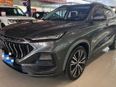 Changan Oushan X5 1.5T DCT Premier - ფოტო 1