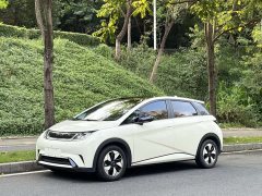 BYD Dolphin Glory Edition 420km Fashion Version - ფოტო 1