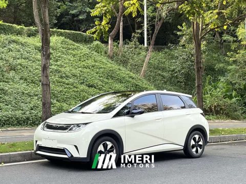 2024 BYD Dolphin Glory Edition 420km Fashion Version - ავტომობილი ჩინეთიდან