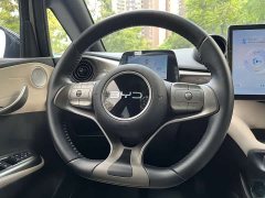 BYD Dolphin Glory Edition 420km Fashion Version - ფოტო 15