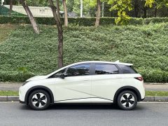 BYD Dolphin Glory Edition 420km Fashion Version - ფოტო 3