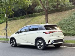 BYD Dolphin Glory Edition 420km Fashion Version - ფოტო 6