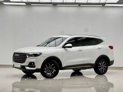 Haval H6 National Trend Edition 1.5T Automatic Urban Version - ფოტო 1
