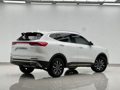 Haval H6 National Trend Edition 1.5T Automatic Urban Version - ფოტო 14