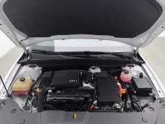 BYD Qin Plus 2021 DM-i 120KM Luxury - ფოტო 6
